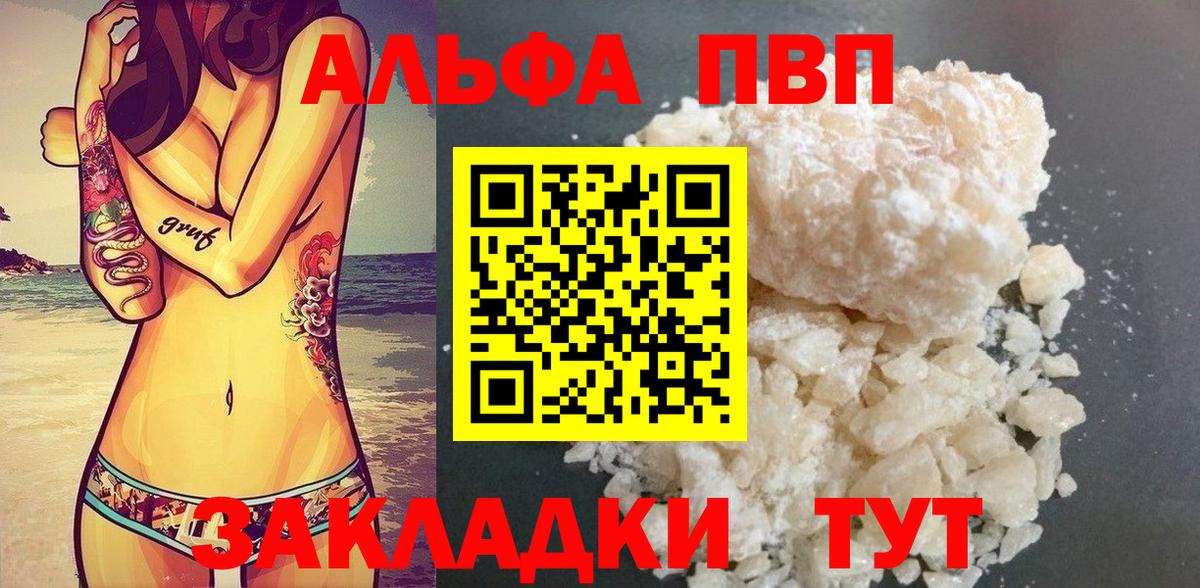 Альфа ПВП СК КРИС Железноводск