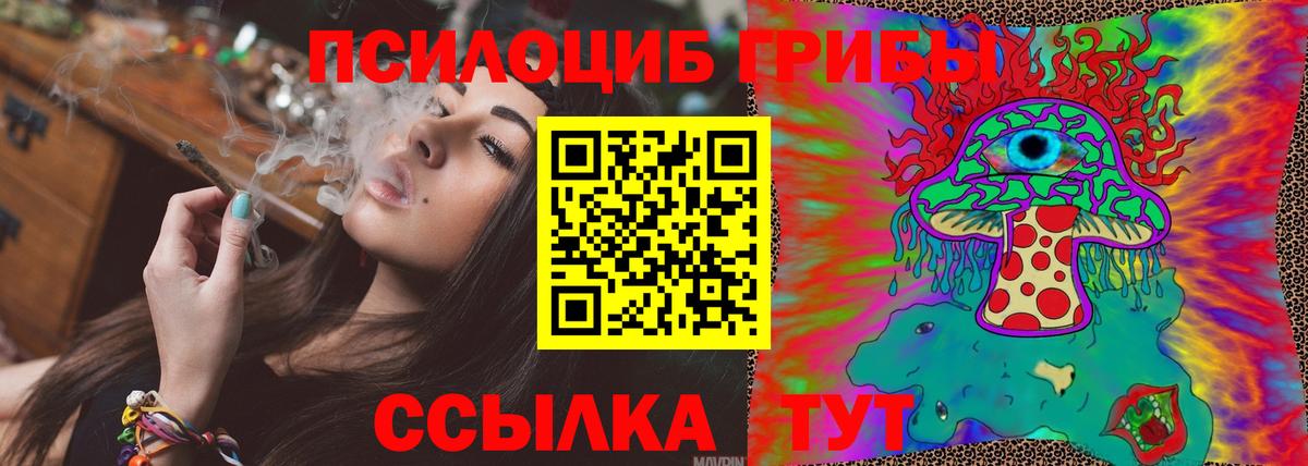 Галлюциногенные грибы Psilocybine cubensis  Вход с VPN  Железноводск 