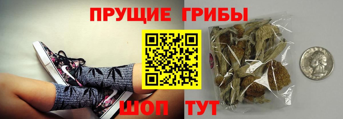 Псилоцибиновые грибы мицелий Железноводск